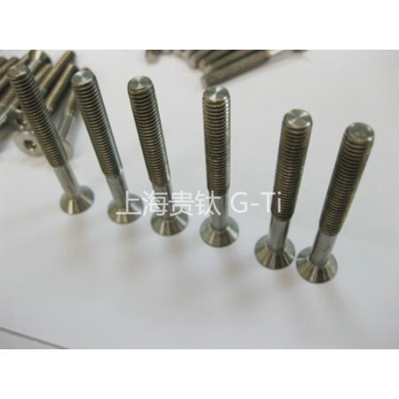 Titanium screws
